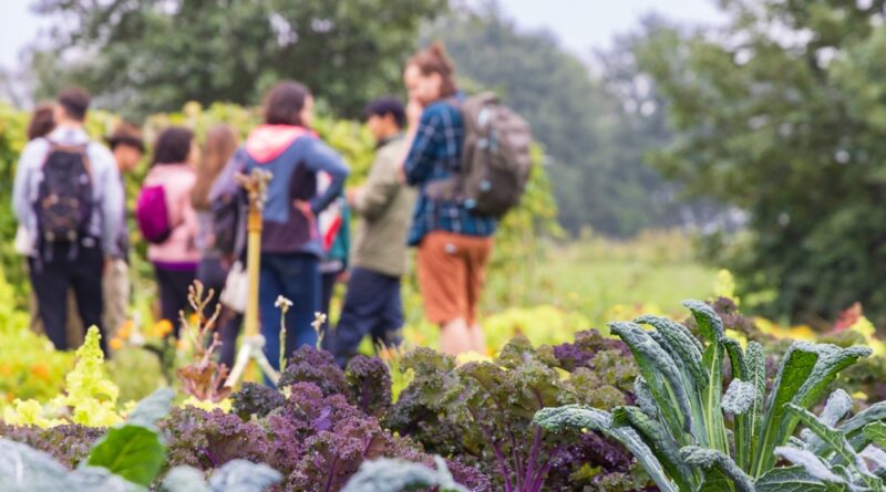 gartenbesichtigung