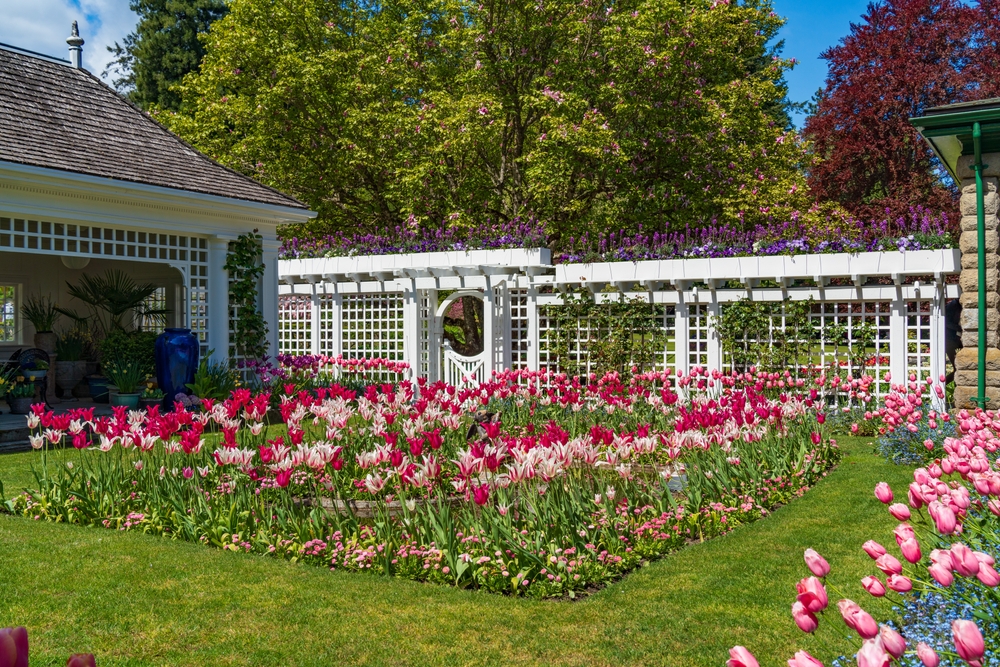 offener garten