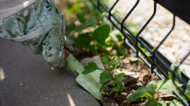Unkraut Gartenzaun