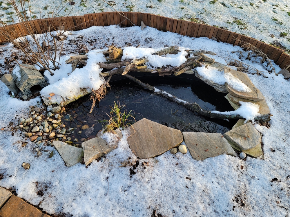Gartenteich Schnee