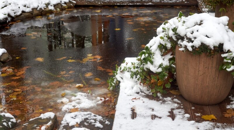 Miniteich Winter